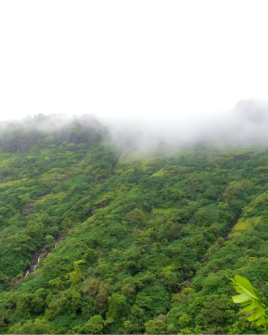 What’s so special about Monsoon Treks in Maharashtra?