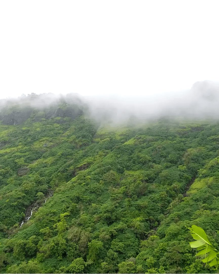 What’s so special about Monsoon Treks in&nbsp;Maharashtra?